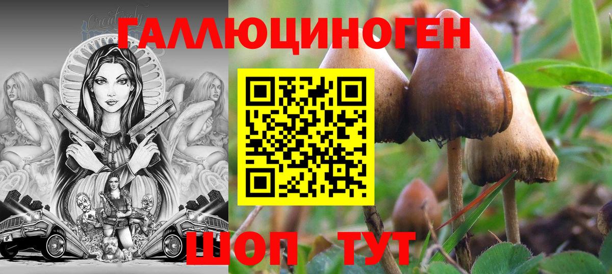Галлюциногенные грибы GOLDEN TEACHER  Вход с VPN  Слободской 