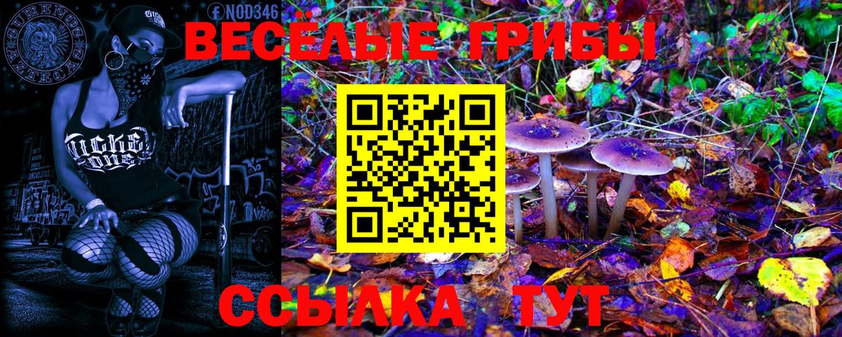 Псилоцибиновые грибы мицелий Слободской